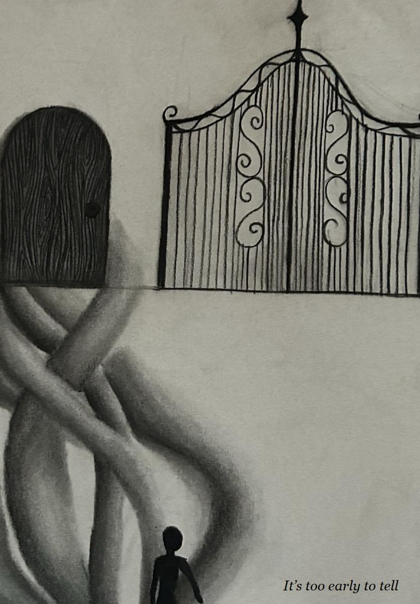Charcoal drawing: a humble wooden door beside a grand iron gate — it’s too early to tell